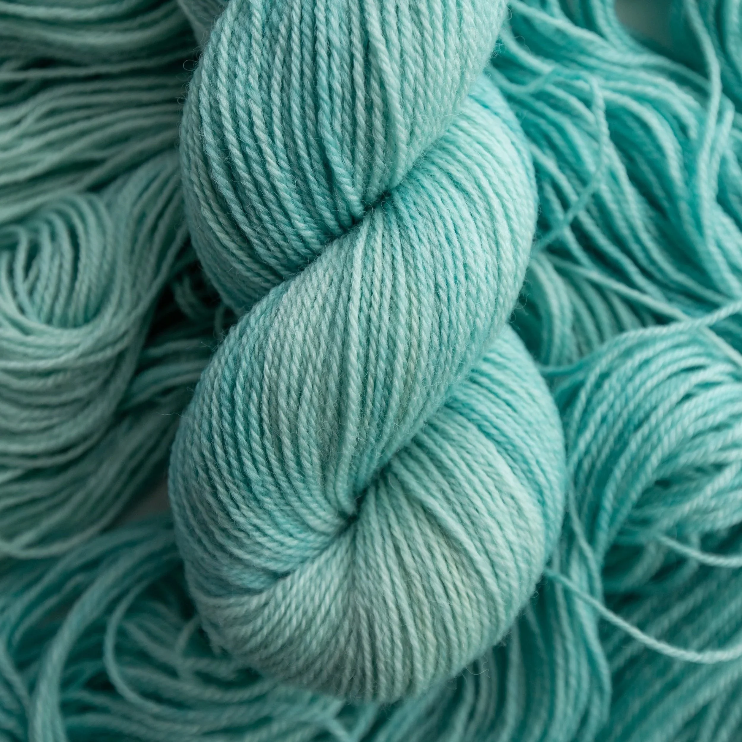 Spicy Beaver (Equinox Sport) - Dye Lot Rebel — Magpie Fibers